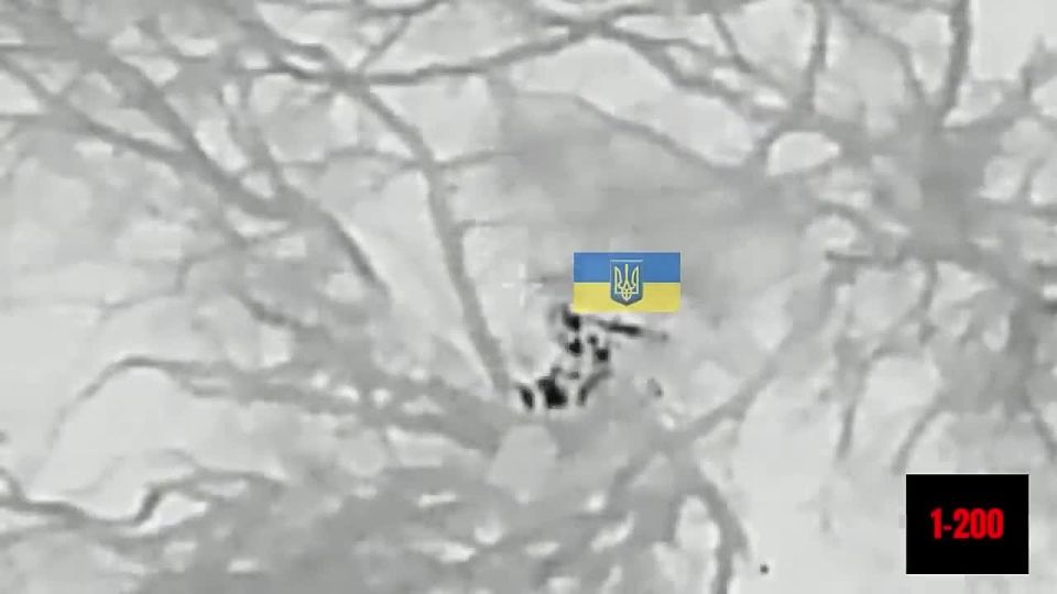 ��� �������� ������� ����������� ������� ���