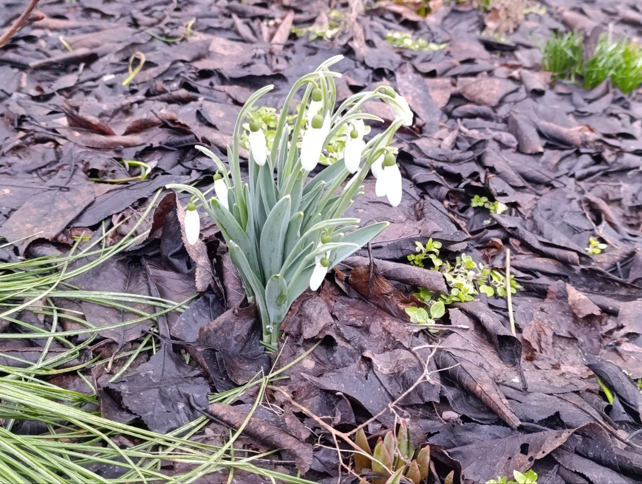 Доброе утро, жители Каховского муниципального округа!
