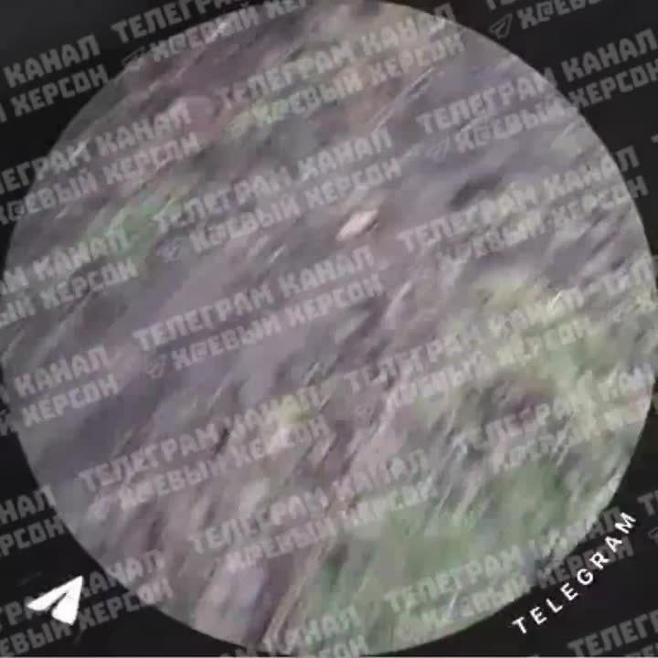 � �� ��� ������.... ������������ ����������: ����������� ���������� � 06:00 25.02.2026 �� 06:00 26.02.2026 ����� �� ��������� ����� ��� ������� ������, ����������� � ������������� ����������: �������������, ���������...