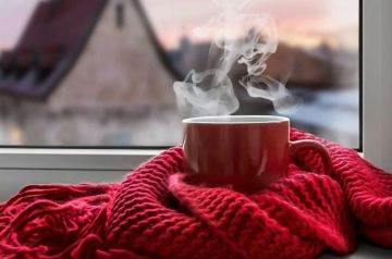 �������� ������ �����������: ��� �� �������� ������� � ����