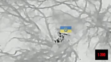 Наш оператор сбросом задвухсотил боевика ВСУ