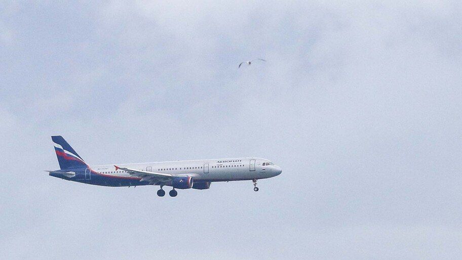 �� �������� ����������� �������� ������� �� ���������� ���������� ���