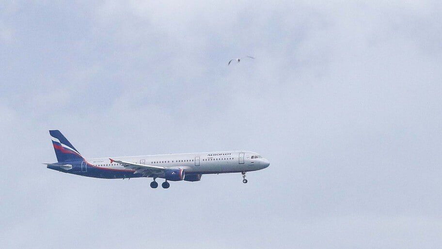 �� �������� ����������� �������� ������� �� ���������� ���������� ���