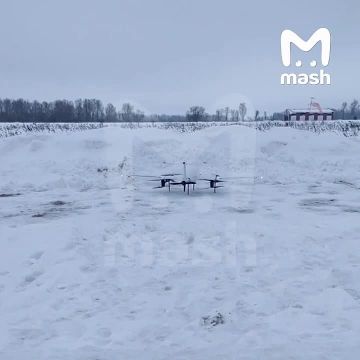 � ��������� ������� ��������� ������ ����-�������� ����������� ����������