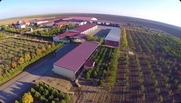 ���������� �����������, ������������������ �� ������������ ����, �������� ���� �������� "������� � ������"