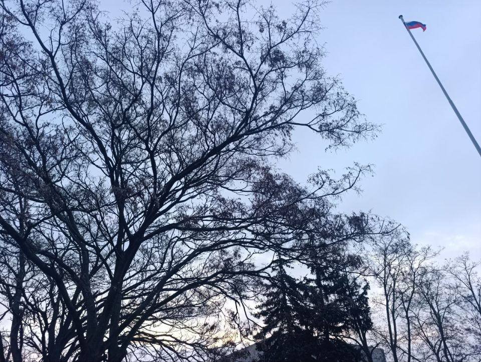 ���� ��������: ������ ����, ������ � ����� ����������� ������!