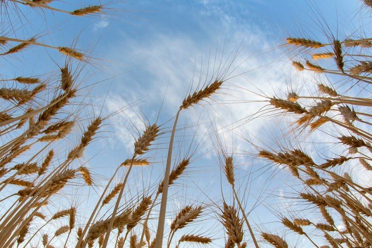 � 2025 ���� ������ ����� � ���������� �������� ��� � ��������� �������� ����