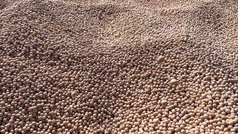 ���������� ������� �������� ������� � �������� ��� ��������� ��������� ���������