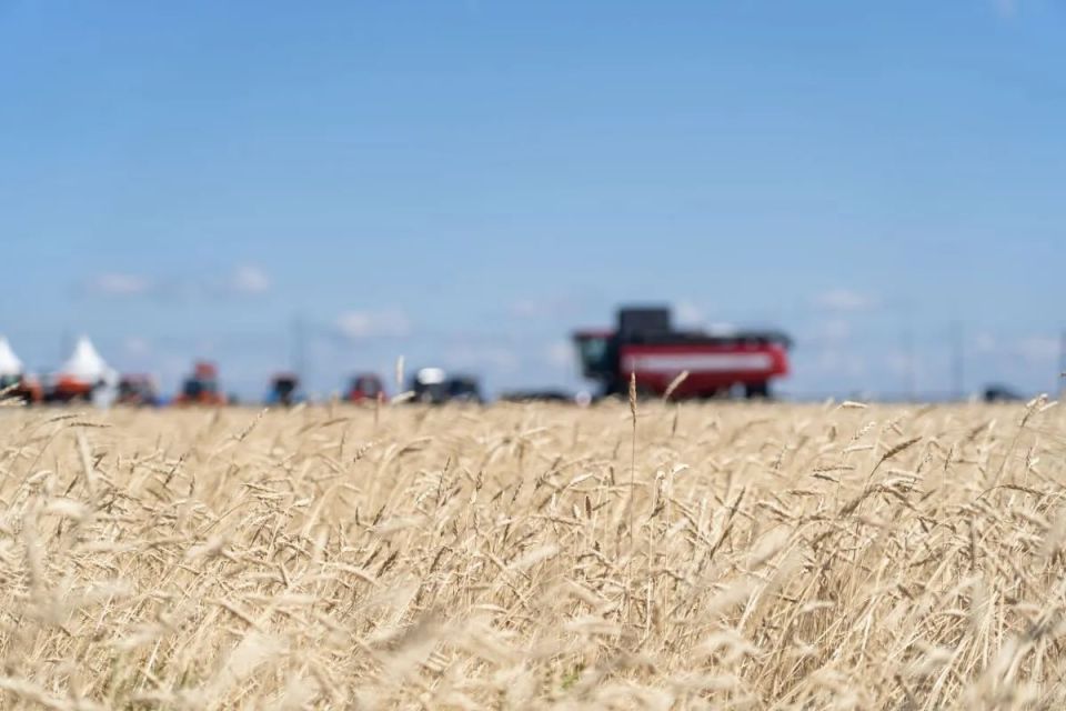 ��������� ��������� ������ �������� � 2026 ���� � 132�133 ��� ����