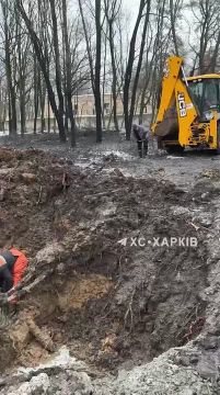 Харьков, центральный парк. Нехило влепило