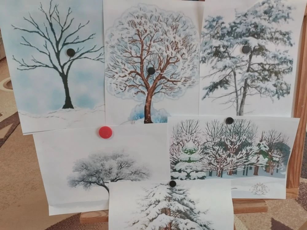 «Деревья в снегу»: занятие в Приморском детсаду