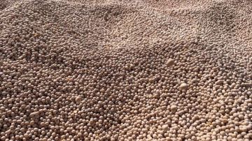 ���������� ������� �������� ������� � �������� ��� ��������� ��������� ���������