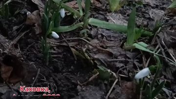 Доброе утро, жители Каховского муниципального округа!