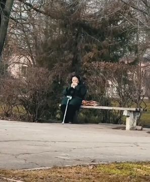 Последний день зимы в Херсоне выглядел так