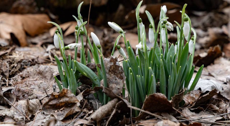 � ������� �������� ������ ����������