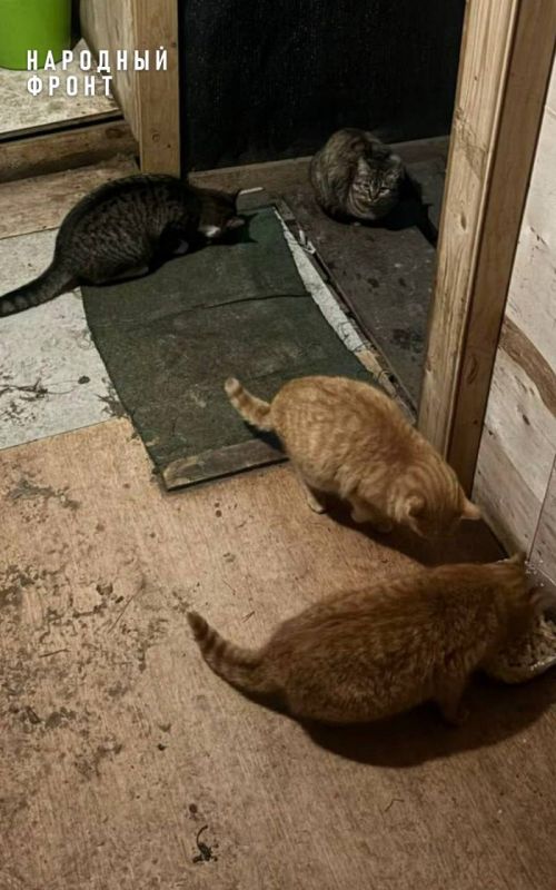 ���-�� �� �������� ����������� �����������, ����� ������ � ���������, ������������ ��������� ������� �������