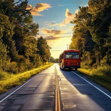 ���������� ����, �������������� ������������ ��������� � ��������������� ��������� ����������� ������ �������� ����������