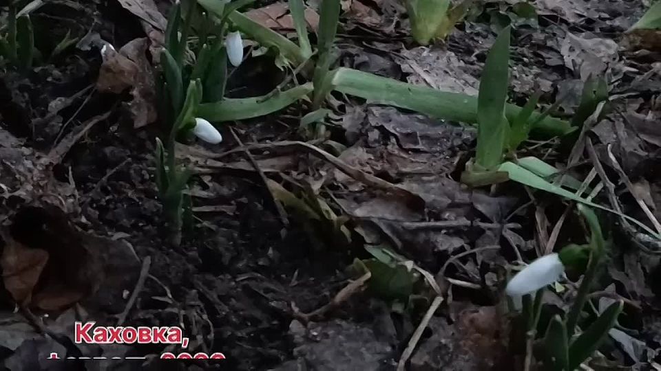 ������ ����, ������ ���������� �������������� ������!