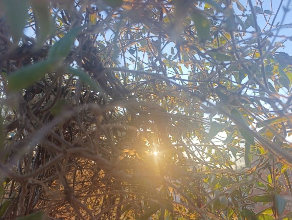 ���� ��������: ������ ����, ������ � ����� ����������� ������!