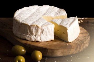 �����������-�������� ������� ������ ������ �������� �� �� ���������� ������� �������� ���� �������� �������� � ������