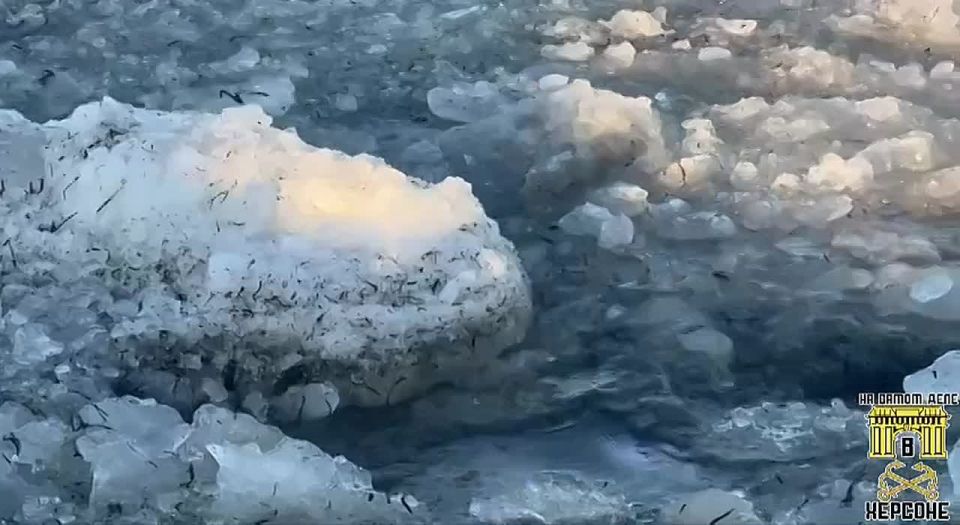 ���������� ������� ��������� ����� � ��������