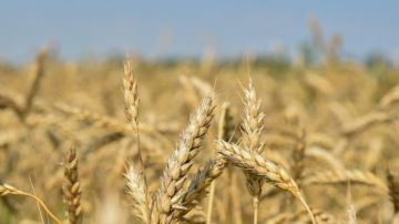 �������� ���������� ������� ���������� � ����� ������������ � 2026 ����