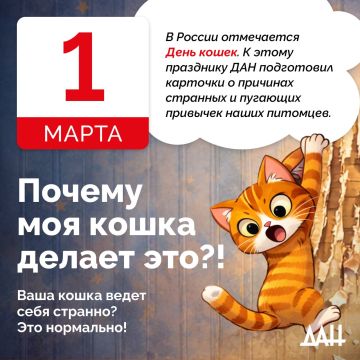 ������ �������� ����� ����� �� ����������� ������� �� ���� �� ���������� �������� �������� ������ �������