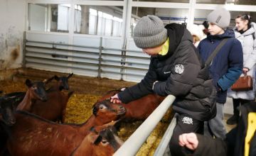 �������� ������: ������ ����� "��������� ���������" ������� ��� ����� ����� ��������� ��������� �������� �� �������