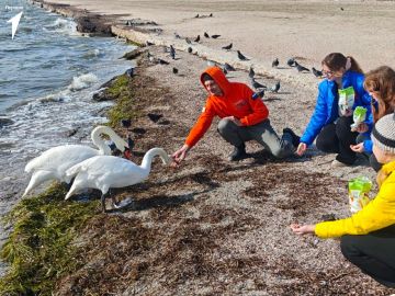 ������ ����������� ������ ������� ������� � ������������� �����