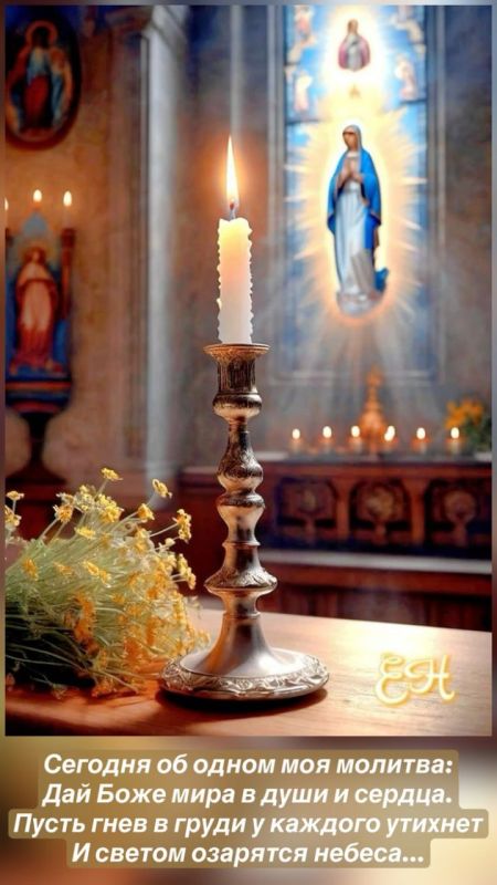 ������� � ����. ���� ������������-�����������