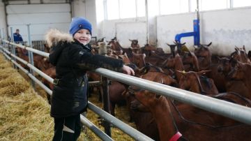 Филиал фонда "Защитники Отечества" организовал поездку на ферму альпийских коз и сыроварню для семей ветеранов СВО из Херсонской области