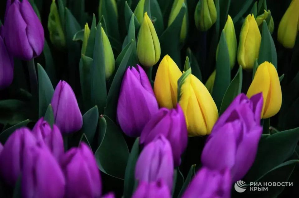 ������ �� ����� ����������� ������