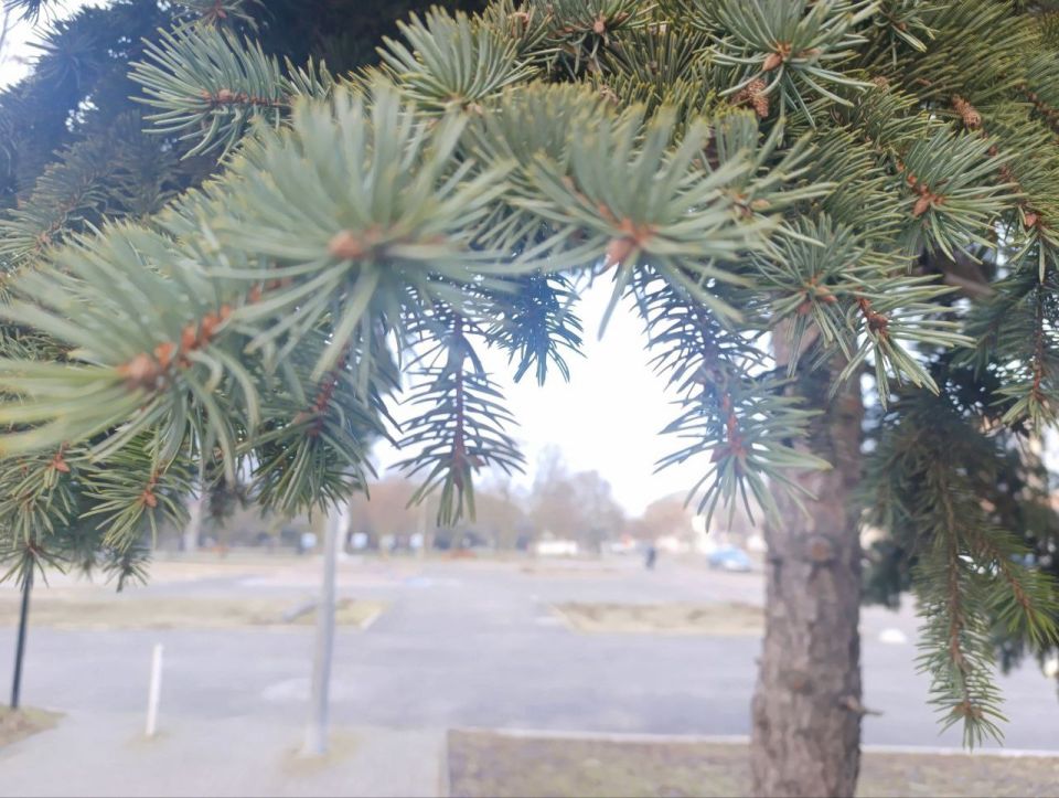 ������ ����, ������ � ����� ����������� ������!