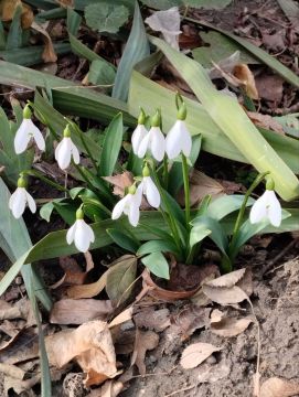 ������� ����, ������! ������� �� ������ � ��������� �� ������ �� �� ���