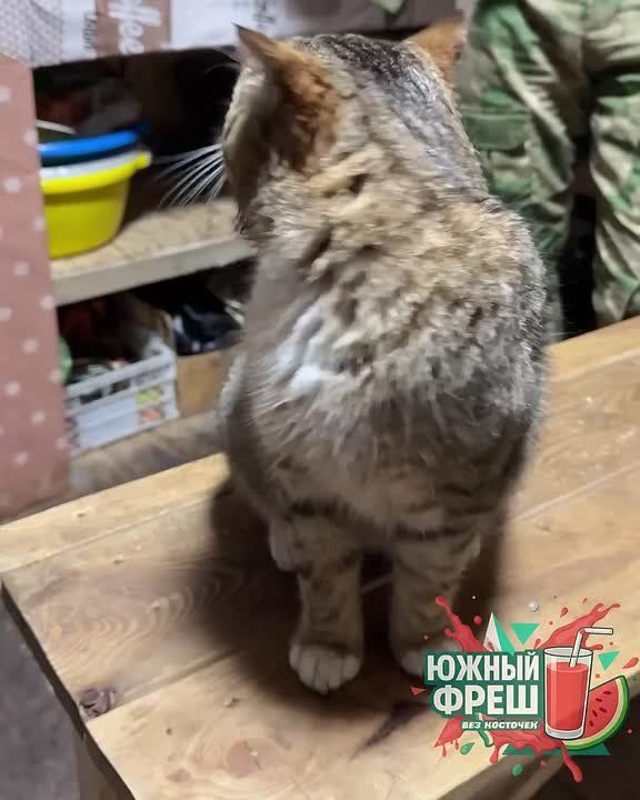 ������ ����� ������ ���� �� ��������� � ��������������� � ��!