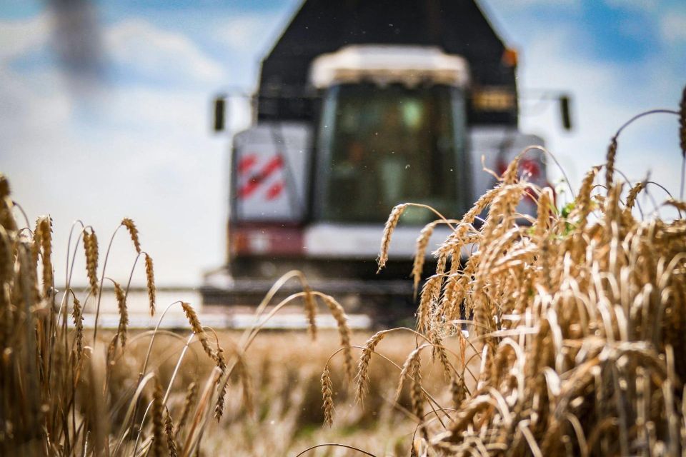 Урожай вне зависимости от условий: стратегия адаптивного земледелия в области