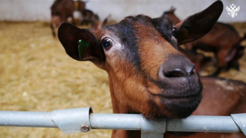 ����� ���������� ��� �������� ����� ���������� ��� � ������������ ���������