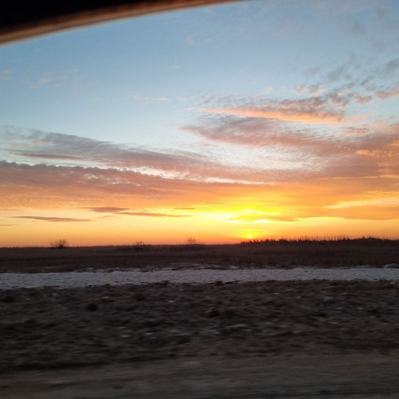 ������ �����, ������!. ����� �� ��������