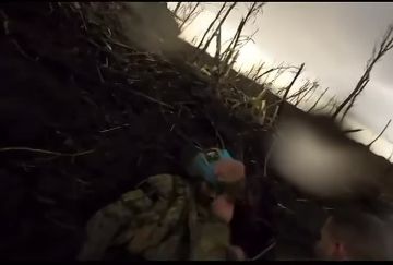 Хохлы попали под замес на Запорожском направлении