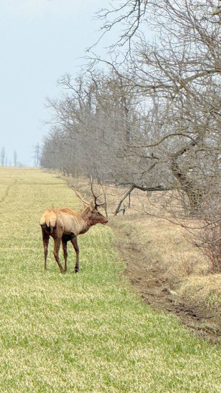 ������ ���� �����!. �� ����� ������ ������ ������ ����������� �����