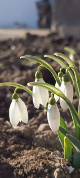 ������ ����, ������� ������ ������ �������������� ������!