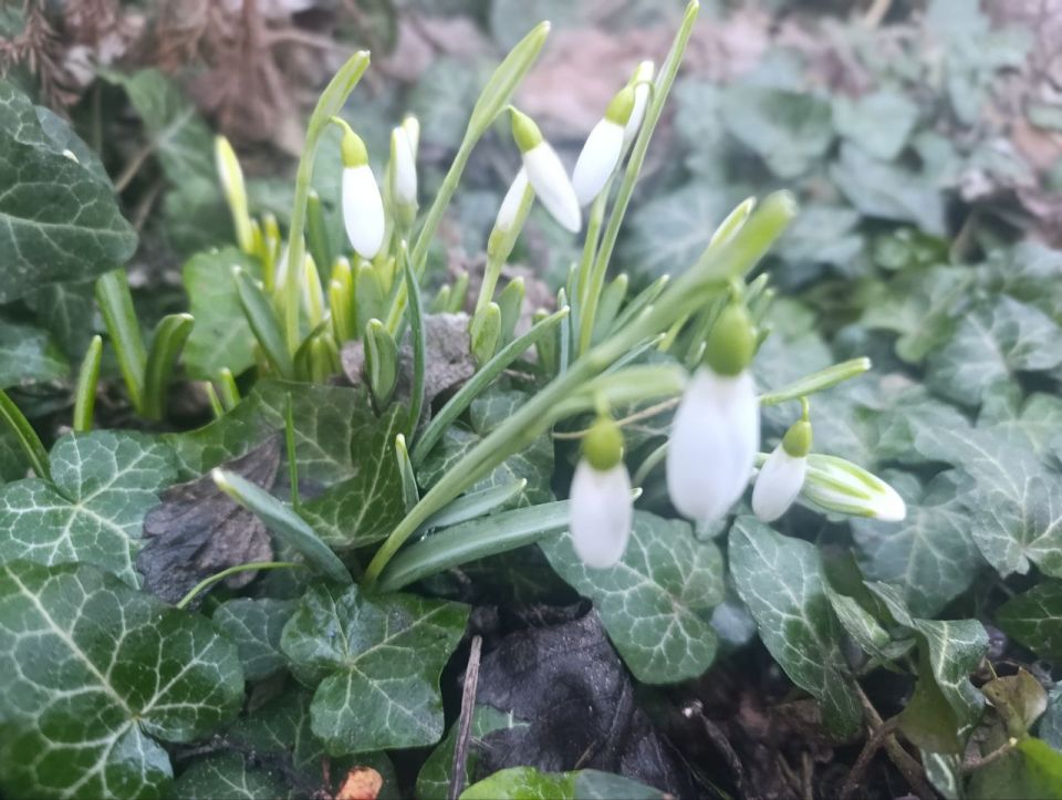 ������ ����, ������ � ����� ����������� ������!