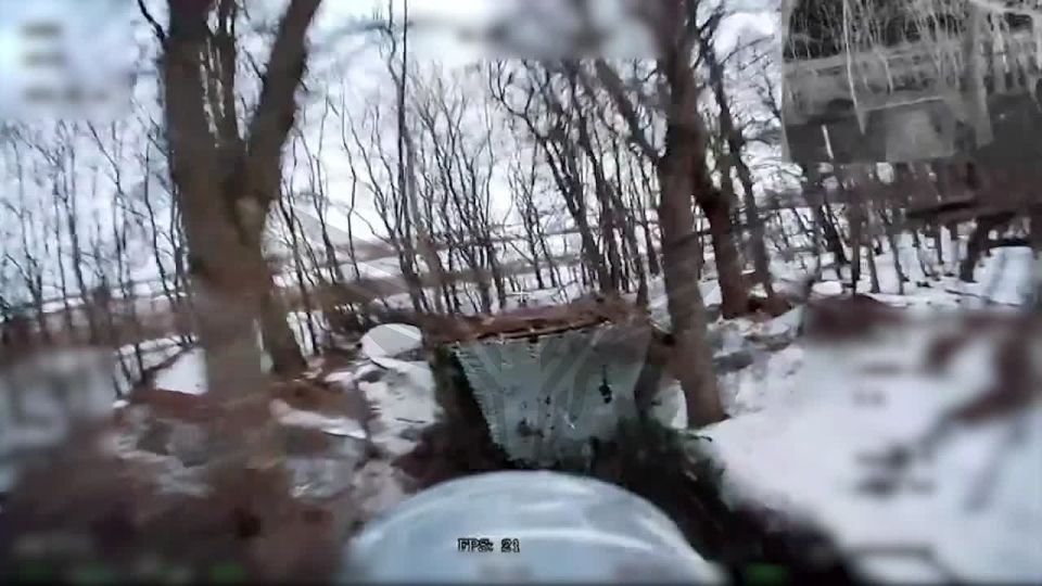 ������� �����������. ������ �.� ��������� ���� ���������� ��� 2�1 ��������� ���