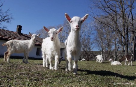 Погода на новых территориях России