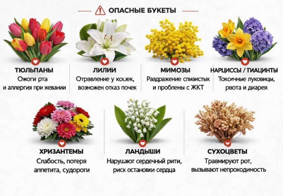 ����� ����� ���� ���������� ������ ��� �����, � ����������