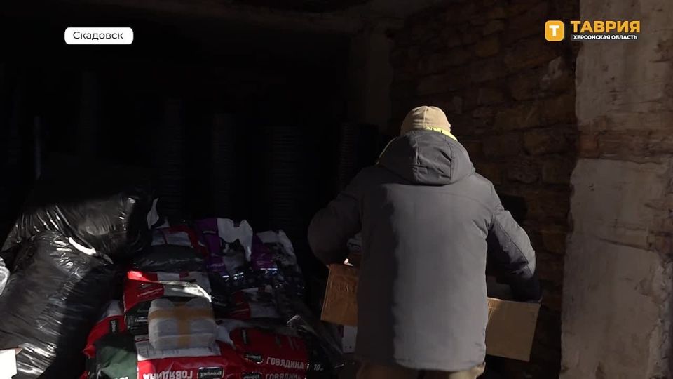 Скадовский округ получил помощь для решения проблемы бездомных животных