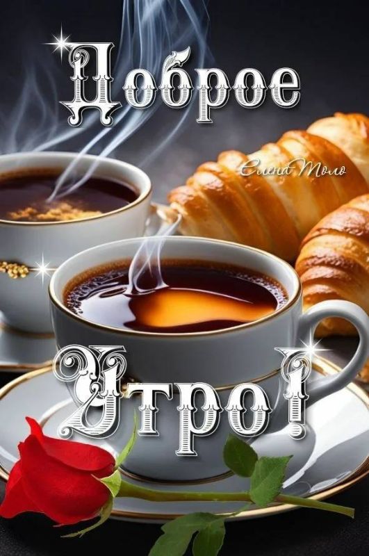 ������ ����, ����� �������!