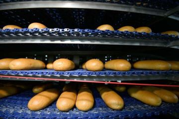 ����� ������������� �������������� �������� ���������� �������