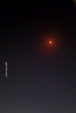 � ����� �������� ���