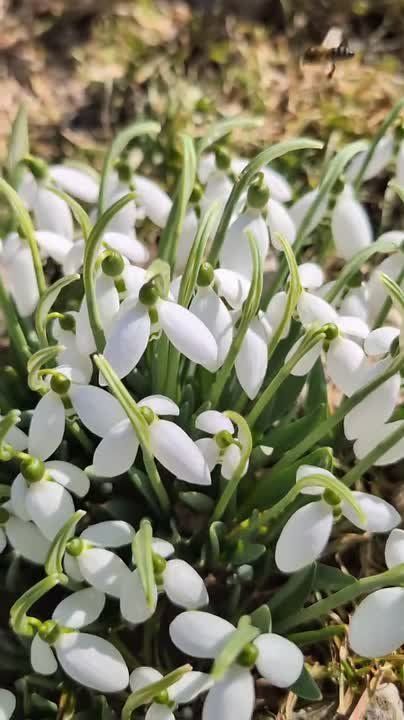 ��������� �����! �� ������ � ���������, �� � �� �����